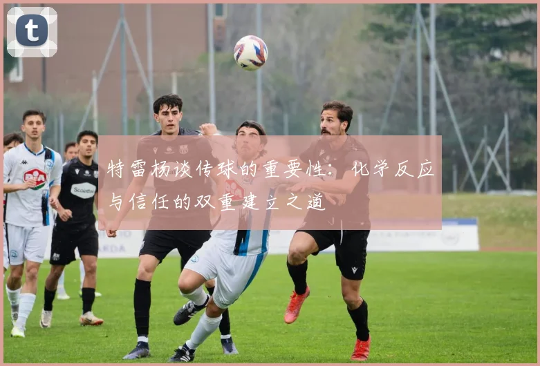 特雷杨谈传球的重要性：化学反应与信任的双重建立之道